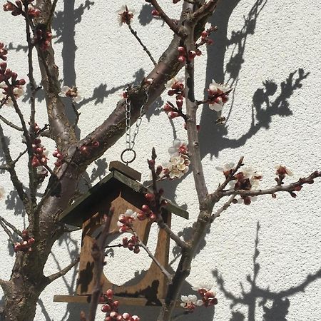 Appartement Emilia Hallstatt Eksteriør bilde