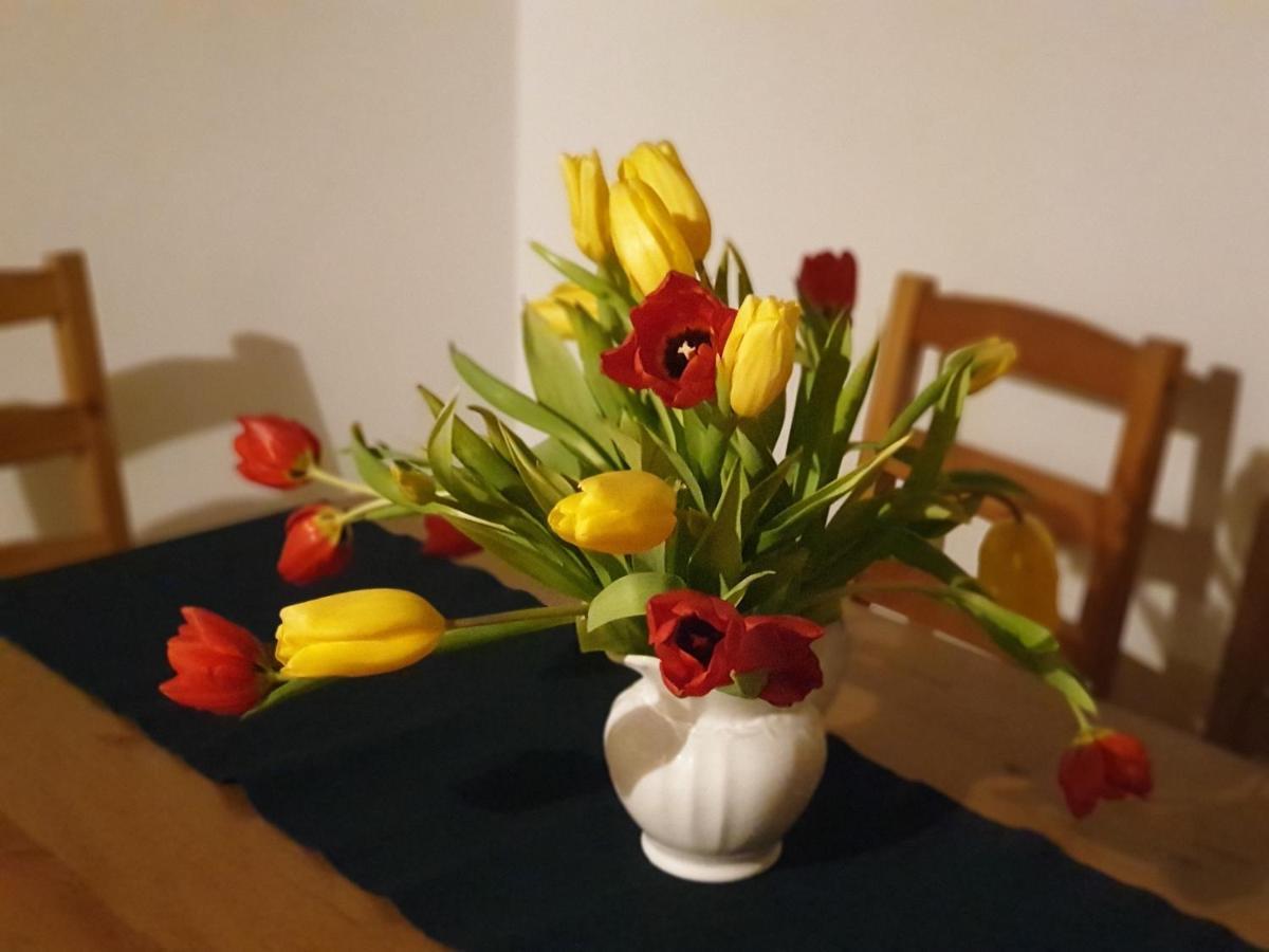 Appartement Emilia Hallstatt Eksteriør bilde