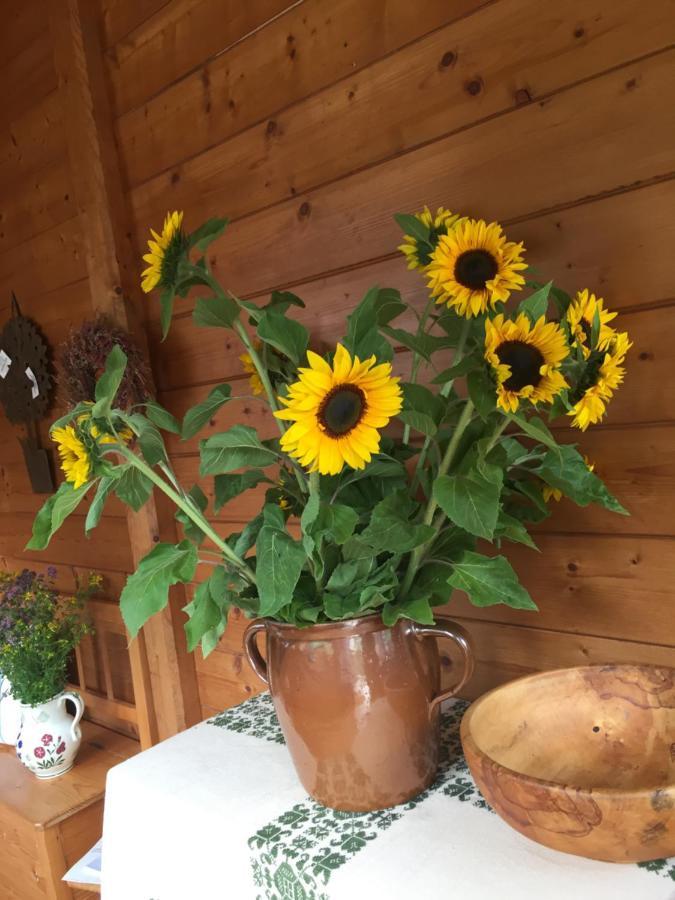 Appartement Emilia Hallstatt Eksteriør bilde