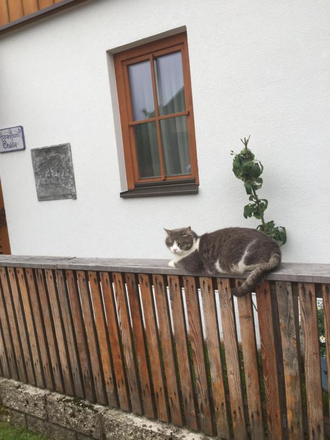 Appartement Emilia Hallstatt Eksteriør bilde