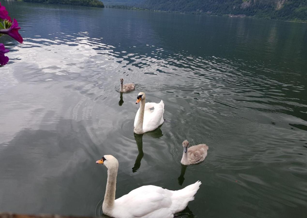 Appartement Emilia Hallstatt Eksteriør bilde