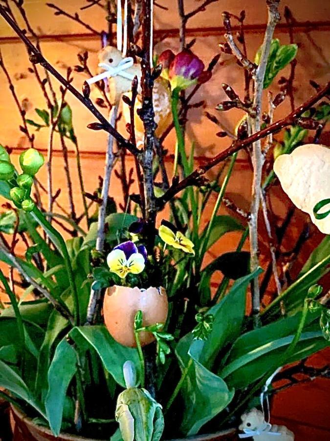 Appartement Emilia Hallstatt Eksteriør bilde